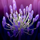 Romantic and Feminine portfolio