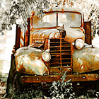 Rustic and Masculine portfolio