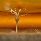Contemporary and Contrasts portfolio